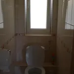 Boene Vendeghaz Es Borozo Tokaj