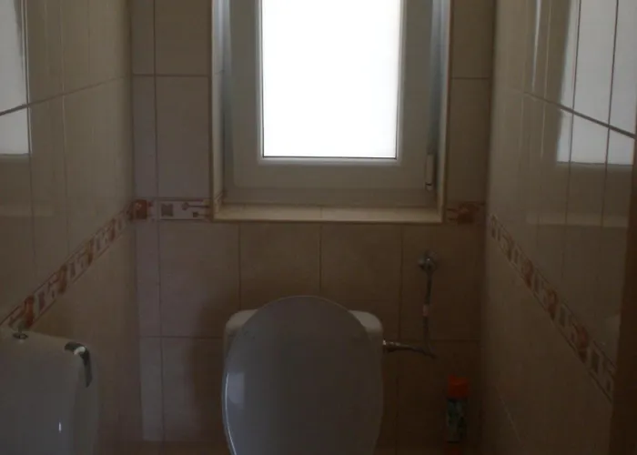 Boene Vendeghaz Es Borozo Tokaj
